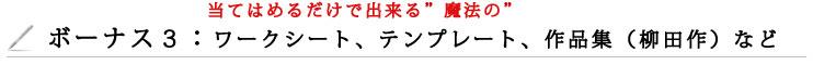 bonus03 bonus03